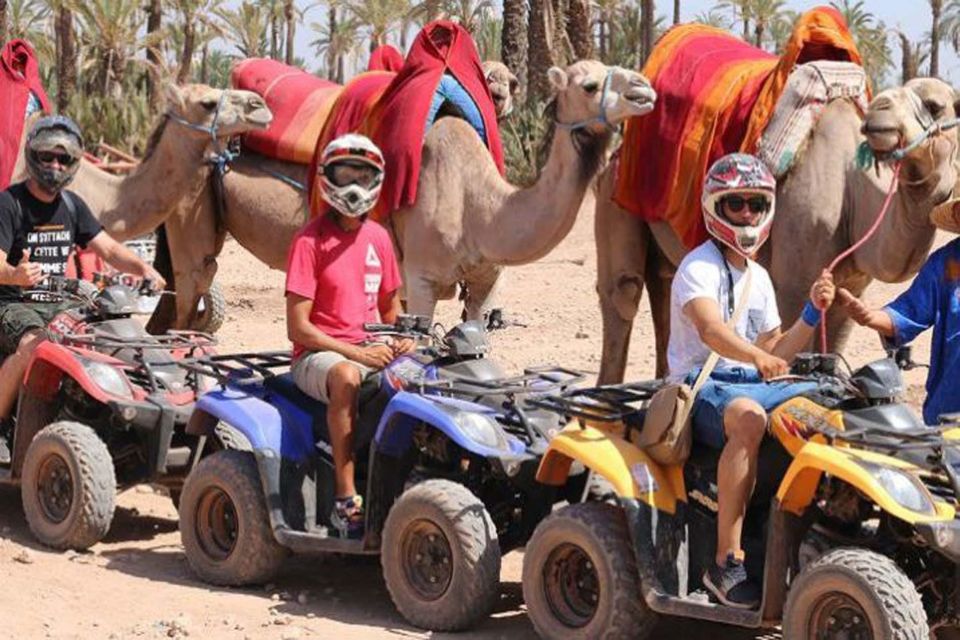 Marrakech 3-Hour Quad Bike & Camel Ride in Palmeraie - Customer Feedback