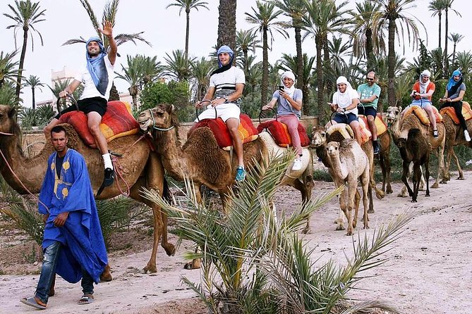 Marrakech Activities: Camel Ride Tour Marrakech - Cancellation Policy and Weather