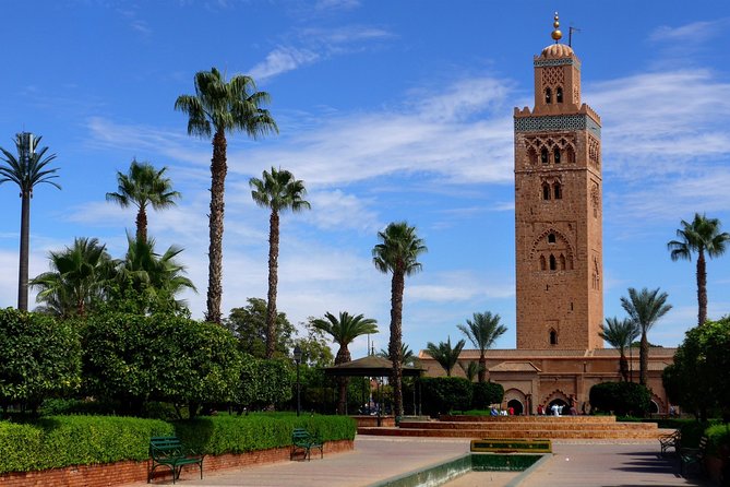 Marrakech Airport Private Transfer - Customer Reviews and Ratings