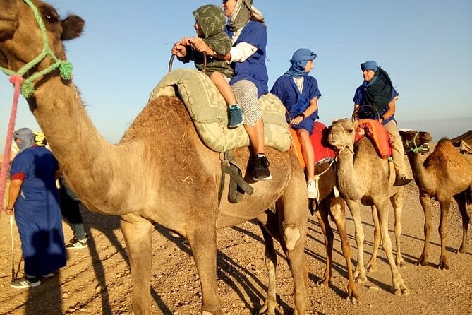 Marrakech Camel Ride - Last Words