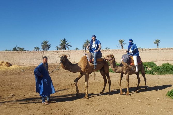 Marrakech Camel Ride at the Palm Groves - Requirements and Policies