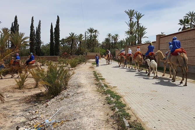 Marrakech Camel Ride in the Oasis Palmeraie - Last Words