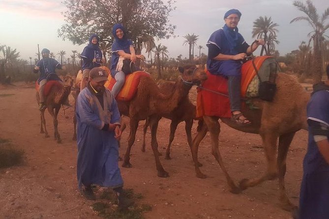 Marrakech Camel Safari at Agafay Desert - Customer Reviews