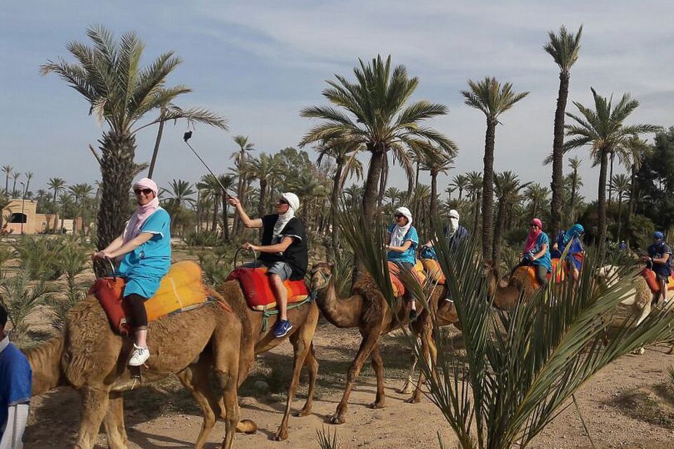 Marrakech: Camel Trek - Participant Information