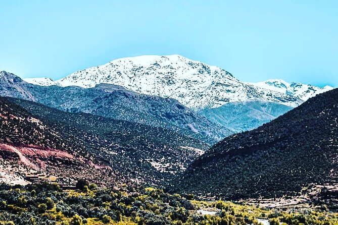 Marrakech Day Trip to the Atlas Mountains, Four Valleys and Camel Ride Waterfall - Camel Ride Adventure