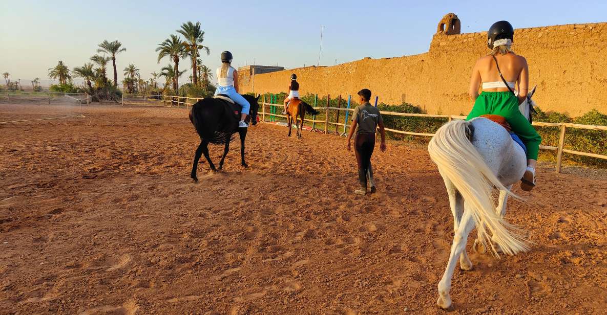 Marrakech: Desert and Palmeraie Horse Riding Tour & Transfer - Review Summary
