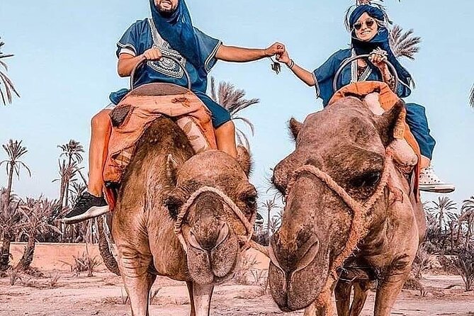 Marrakech Desert Camel Ride - Hassle-Free Camel Ride