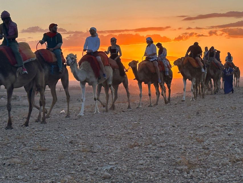 Marrakech: Desert Safari, Quad, Camel, Dinner Show & Pool - Booking Options