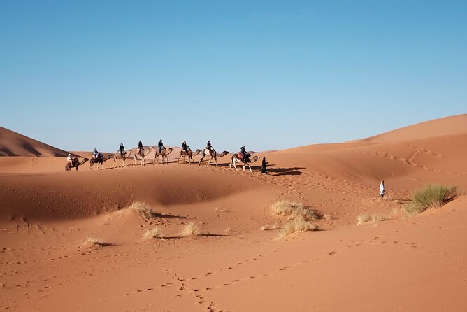 Marrakech Desert Tour to Fes - Transportation Details