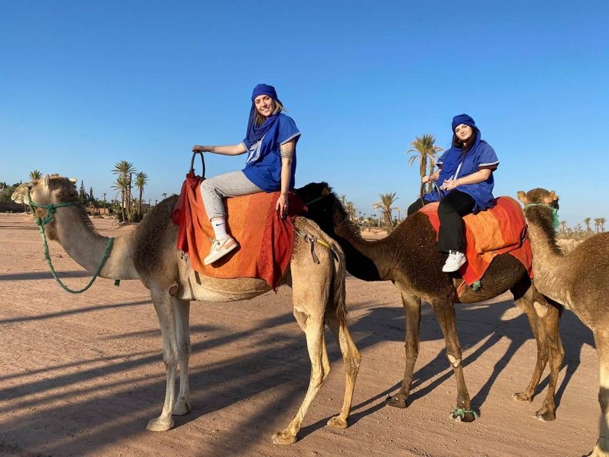 Marrakech : Exciting Camel Ride in Palmeraie - Highlights