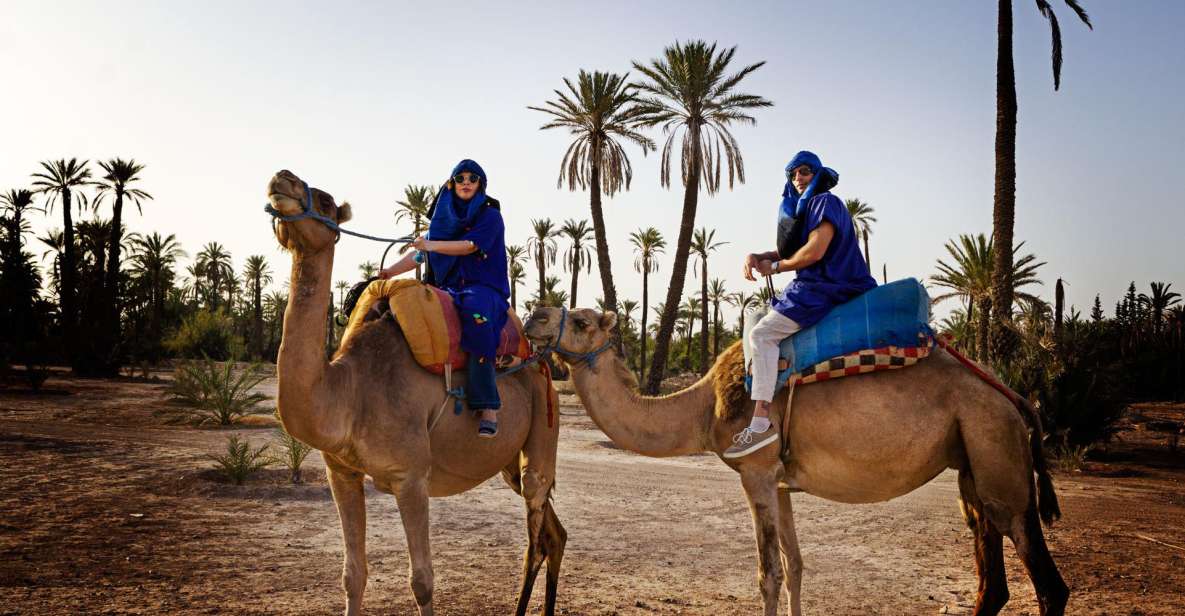 Marrakech: Half-Day Camel Ride in Palm Grove - Customer Reviews