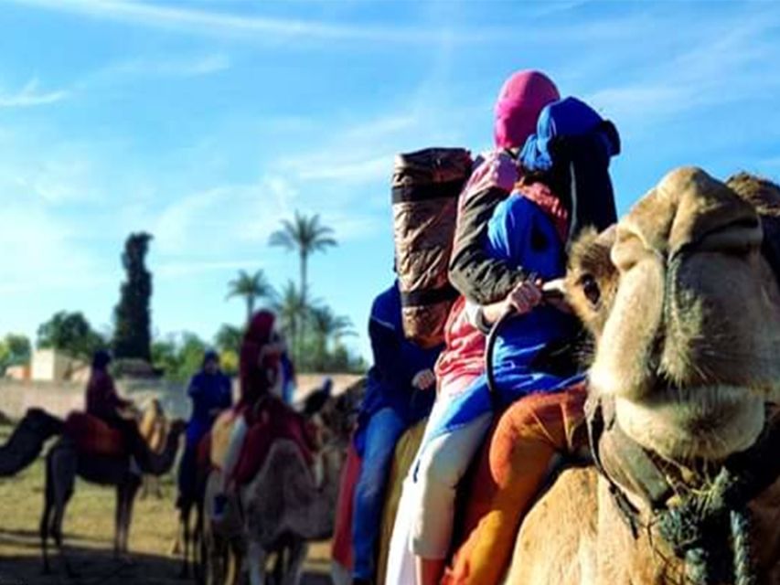 Marrakech: Half-Day Tour With Buggy Ride, Camel Ride and Spa - Berber Village Exploration