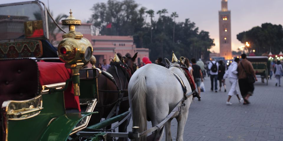 Marrakech: Majorelle & Menara Gardens Tour & Carriage Ride - Logistics