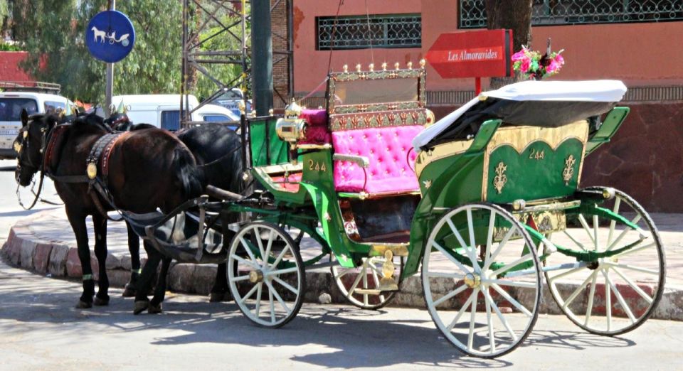 Marrakech: Majorelle & Menara Gardens Tour & Carriage Ride - Itinerary in Medina