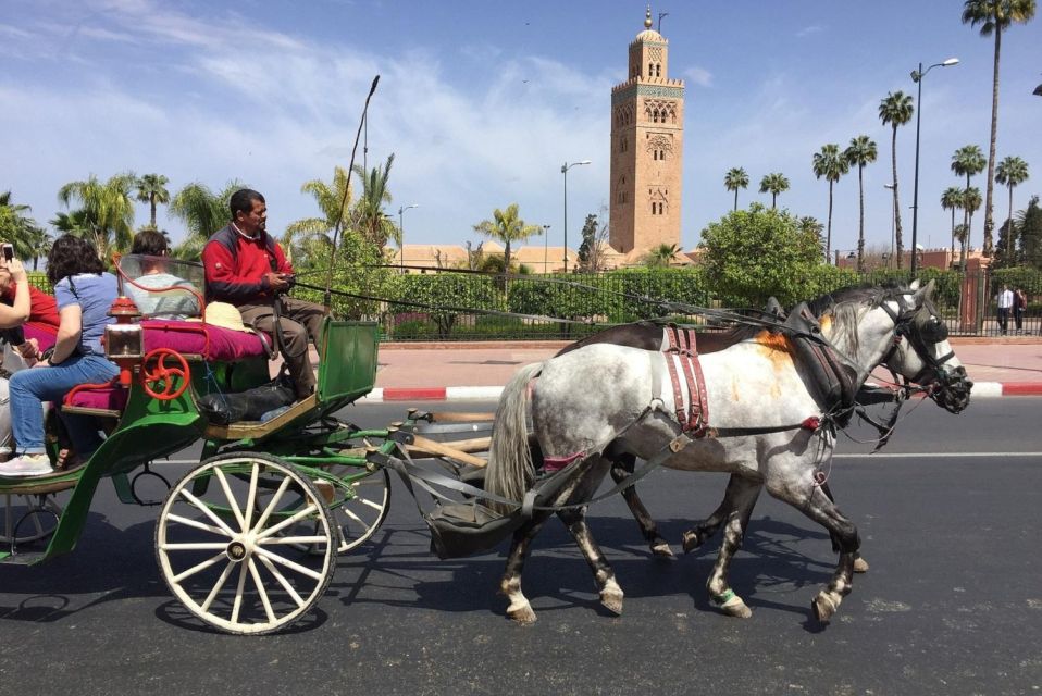 Marrakech: Majorelle & Menara Gardens Tour & Carriage Ride - Garden Tour Description