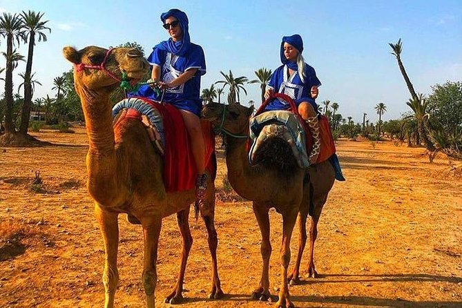 Marrakech Oasis Escape: Camel Ride & Quad Bike Adventure - Booking Requirements