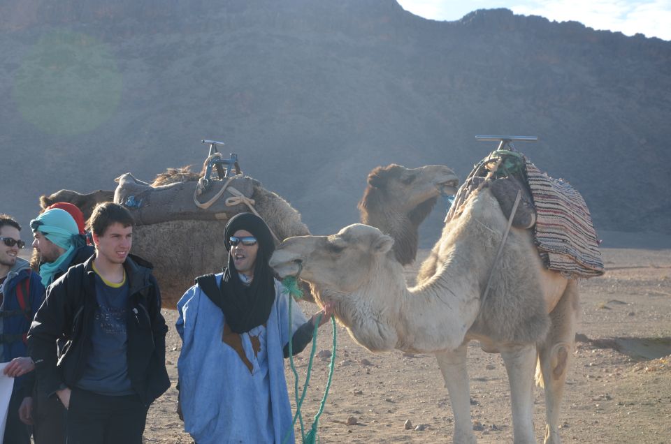 Marrakech: Overnight Sahara Tour to Zagora & Ait Ben Haddou - Review Ratings