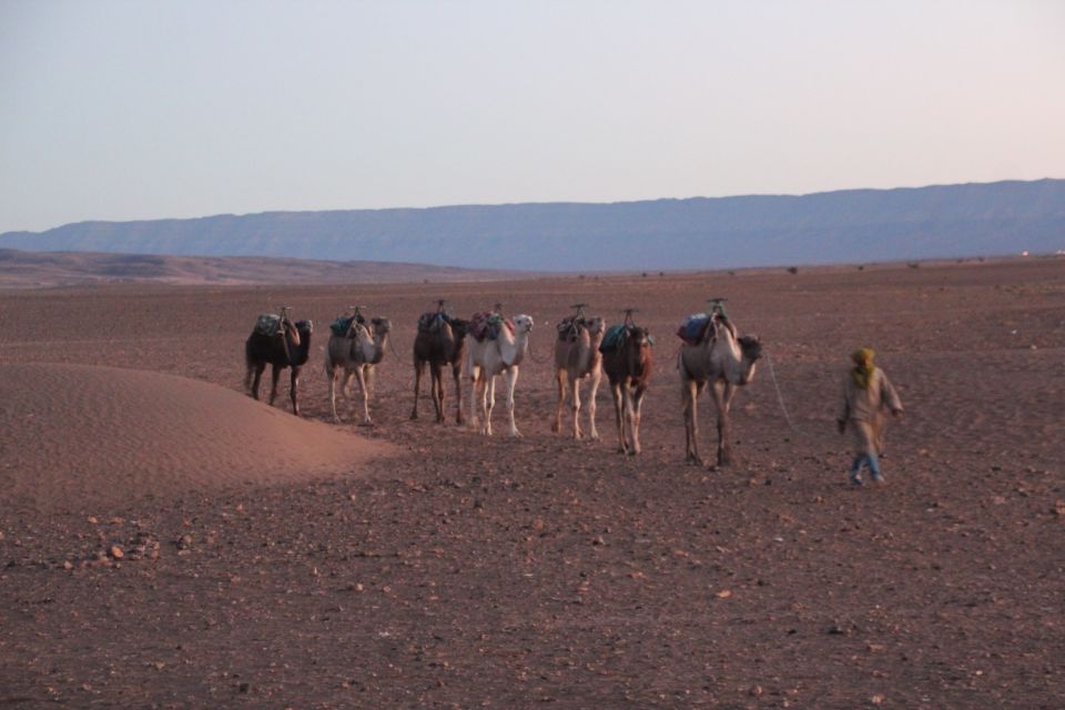 Marrakech: Overnight Sahara Tour to Zagora & Ait Ben Haddou - Tour Highlights