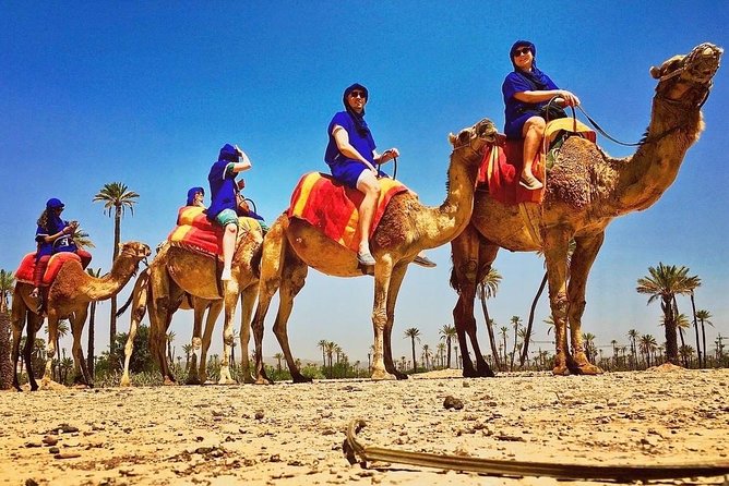 Marrakech Palm Grove ATV and Camel Ride Small Group Tour - Access to Traveler Photos and Support