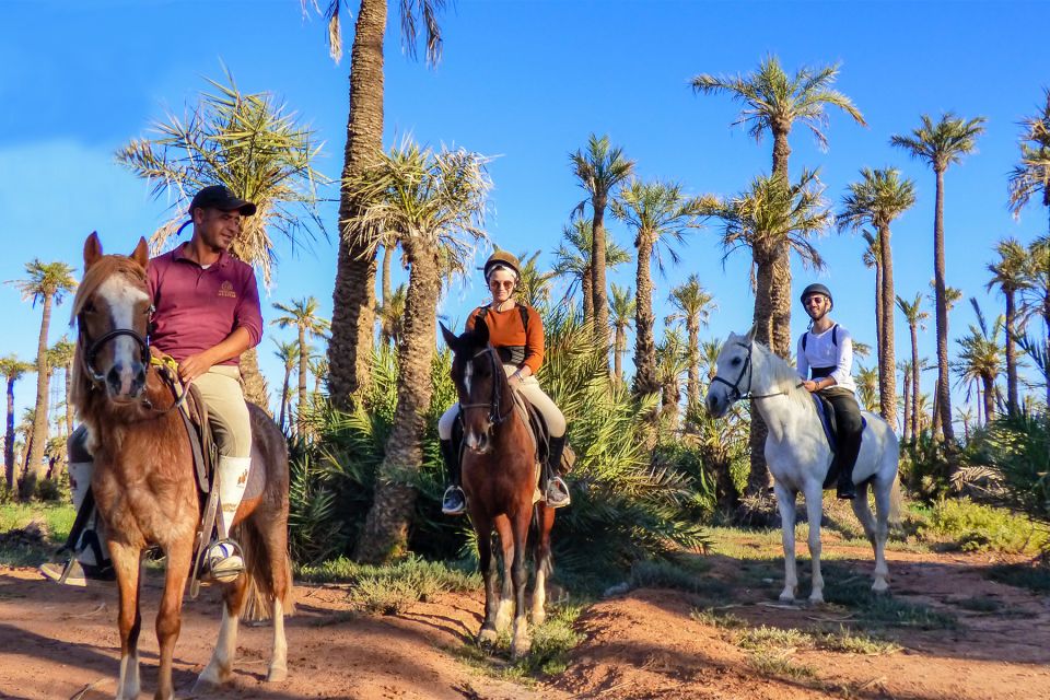 Marrakech: Palm Grove Horseback Riding Tour - Language Proficiency