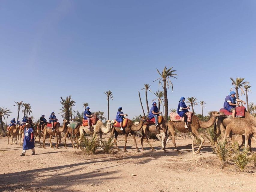 Marrakech Palmeraie: Camel Ride at Sunset - Dive Into the Full Experience