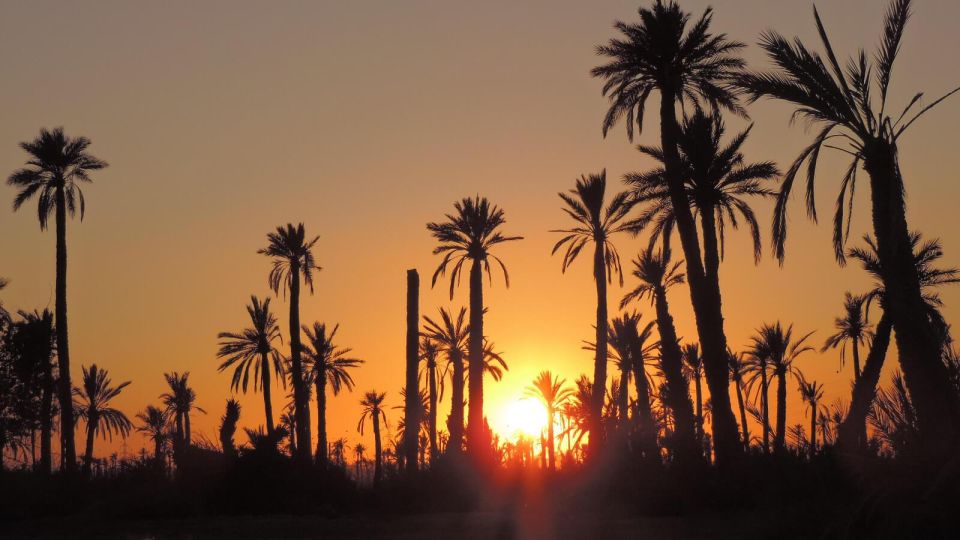 Marrakech : Quad Ride at the Duns of the Palmeraie With Tea - Experience Details