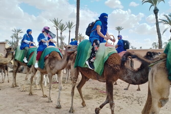 Marrakech Sunset Camel Ride in the Palm Groves - Traveler Reviews