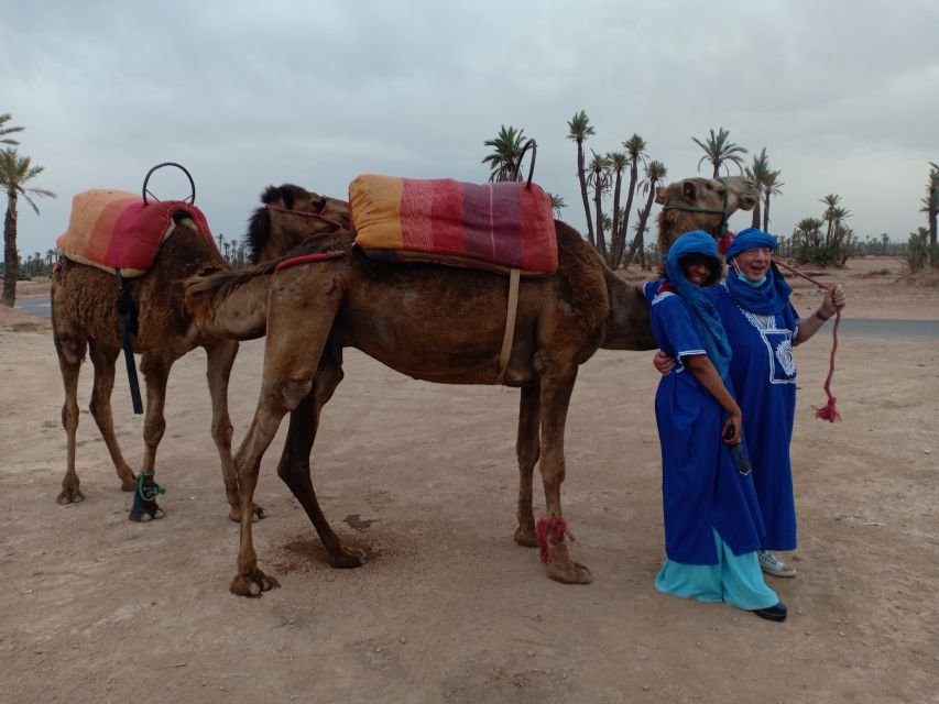 Marrakech: Sunset Camel Ride in the Palmeraie - Review Summary