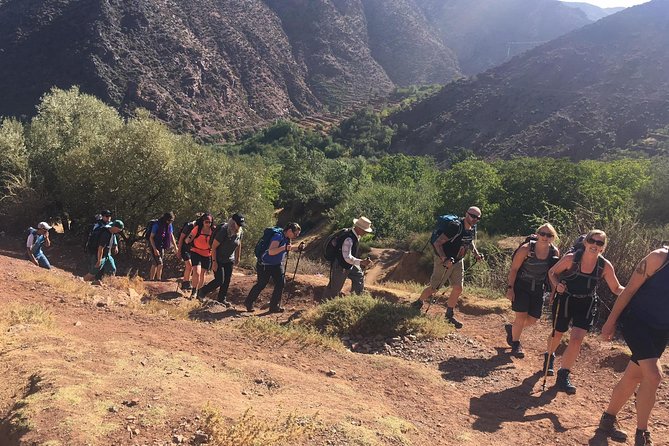 Marrakech to Atlas Mountains and 4 Valleys Day Trip - Practical Information