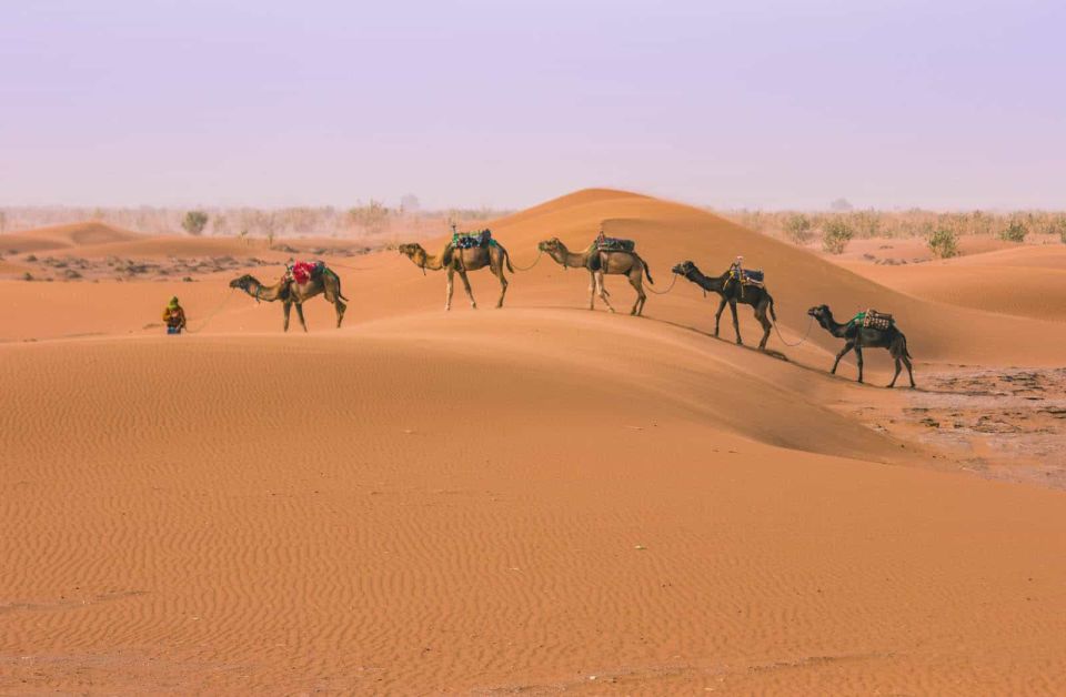 Marrakech To Fes 3 Days Desert Tour - Essential Information for Travelers