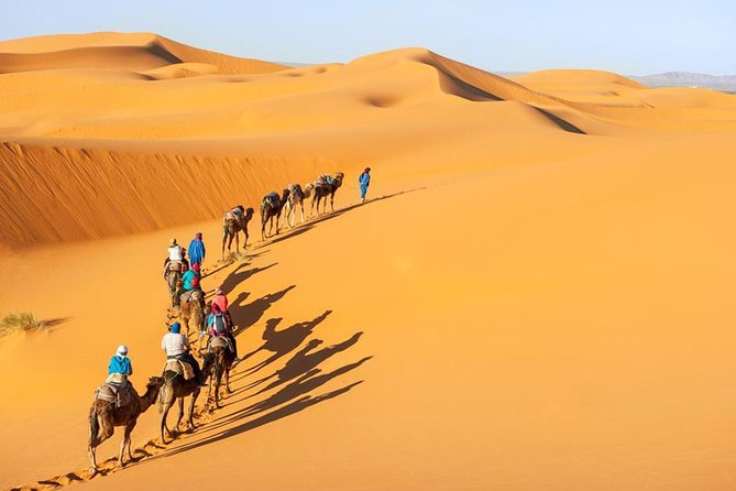 Marrakech to Fes Desert Tour 3 Days - 2 Nights - Customer Support