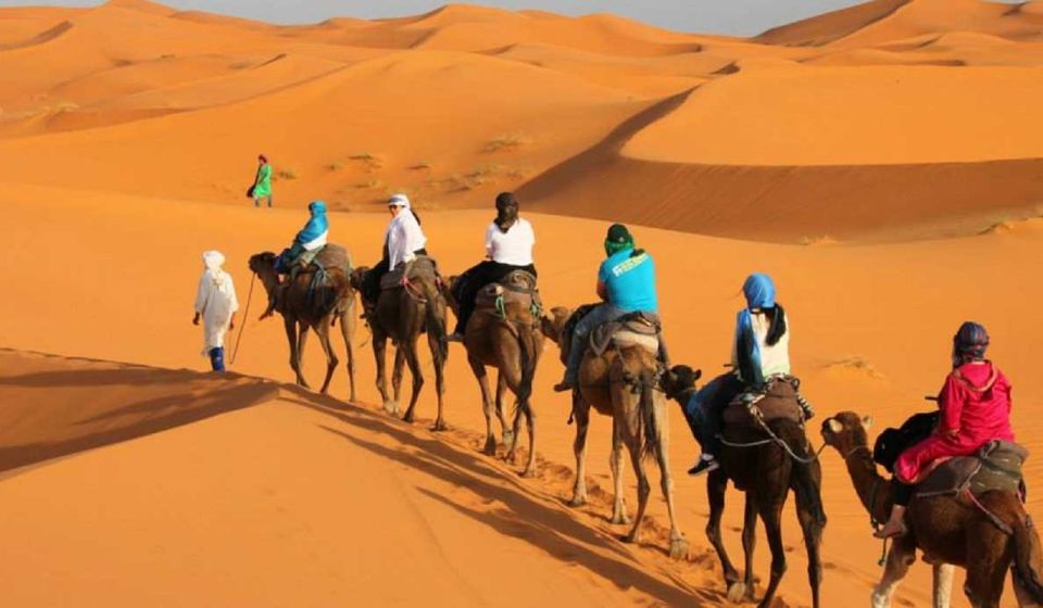 Marrakech to Merzouga: 3-Day Private Tour With Camel Riding - Insightful Customer Reviews Summary