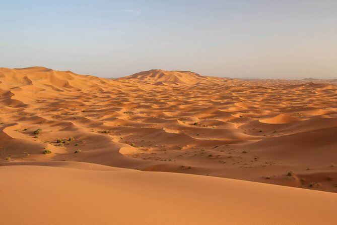 Marrakech to Merzouga Private 2-Night Desert Experience - Contact Information