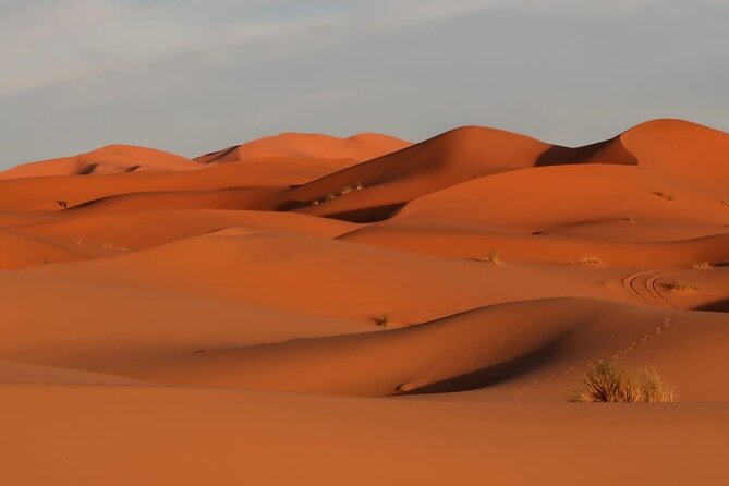 Marrakech to Merzouga Sahara Desert Tour-3 Days 2 Nights Adventur - Transportation Information