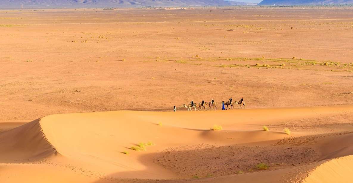 Marrakech to Zagora 2-Day Desert With Food & Camp - Full Itinerary