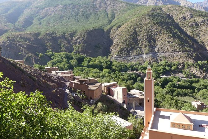 Marrakesh: Agafay Desert Tour With Lunch and Camel Ride - Review Insights