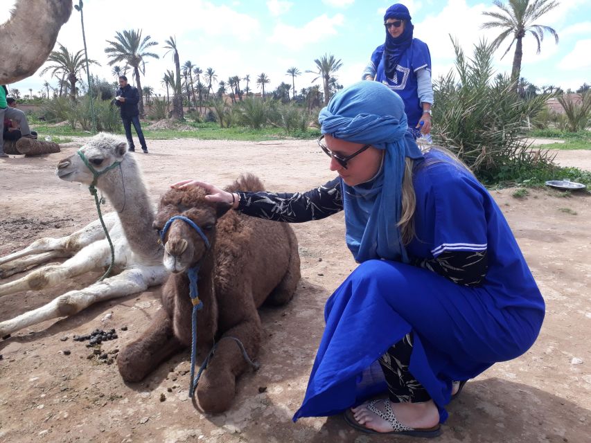 Marrakesh: Quad Bike & Camel Ride in Palmeraie - Activity Description