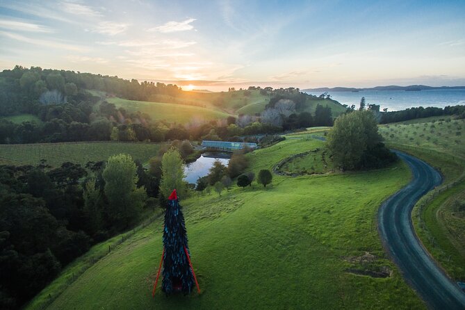 Matakana Art & Vineyard Experience Incl. Lunch & Wine Tasting Tour From Auckland - Wine Tasting Session