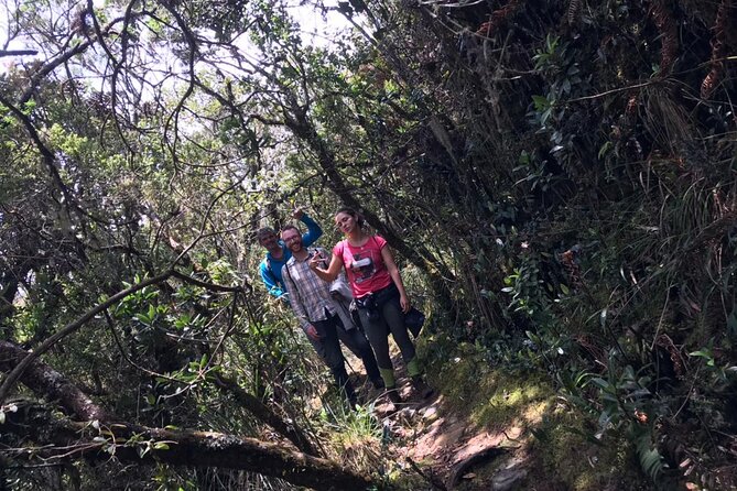 Matarredonda Ecological Park Downhill Hike Small-Group  - Bogotá - Booking Information