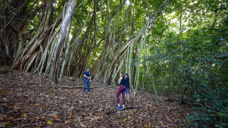 Maui: Honolua Ridgeline Informational Hike - Inclusions and Exclusions