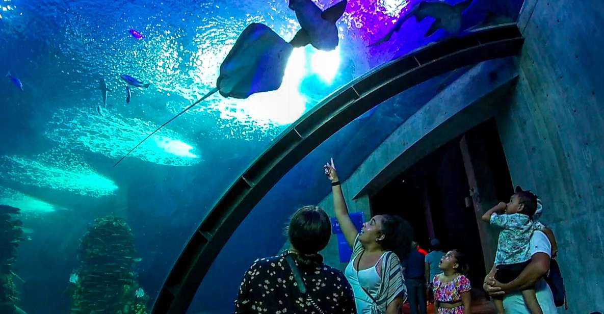 Mazatlan: Grand Aquarium Ticket and City Sightseeing Tour - Guest Reviews