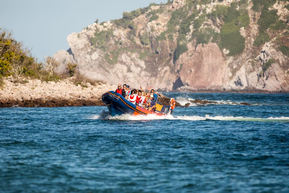 Mazatlan: Ten Islands Boating Expedition - Exploration Highlights