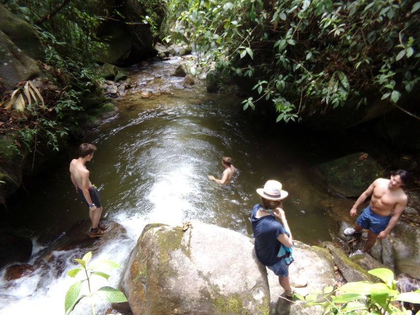 Medellin: Half–Day Private Nature Tour & Waterfall Hike - Swimming in Natural Pools
