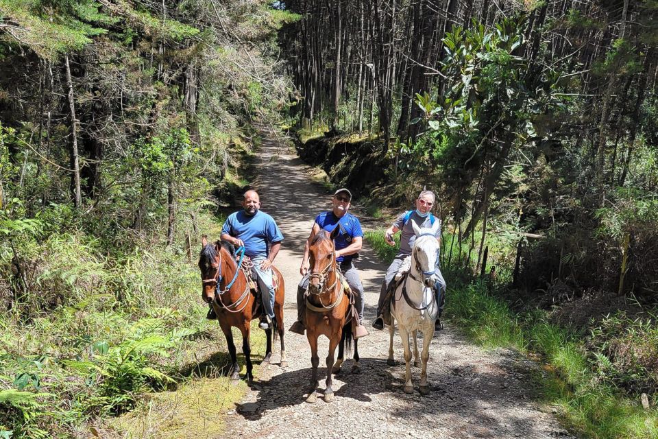 Medellin: Horseback Riding Coffee Farm Tour With Coffee Spa - Highlights of the Tour