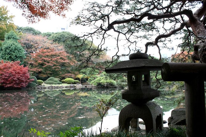 Meiji Jingu Shrine Half-Day Tour by Public Transportation - Group Size Pricing