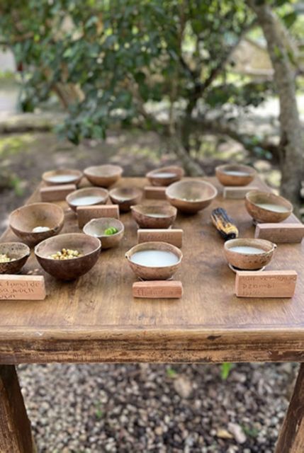 Merida: Mayan Community Cultural Immersion - Ancestral Cooking Workshop