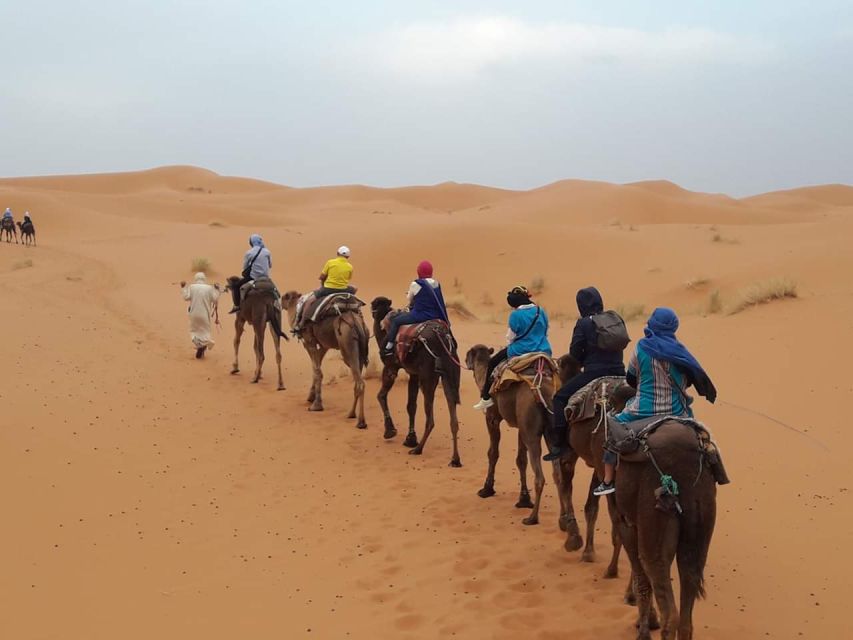 Merzouga Desert Private Luxury 2 Day Tour From Fes - Meals and Accommodation