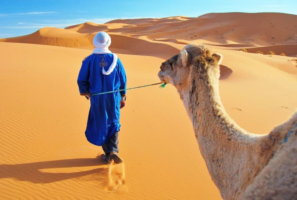 Merzouga: Desert Tour From Fez to Marrakech (3 Days) - Tour Itinerary