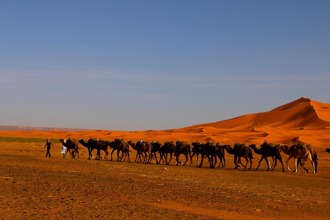 Merzouga Dunes and Berber Culture Private Day Trip With Lunch - Visual Experiences
