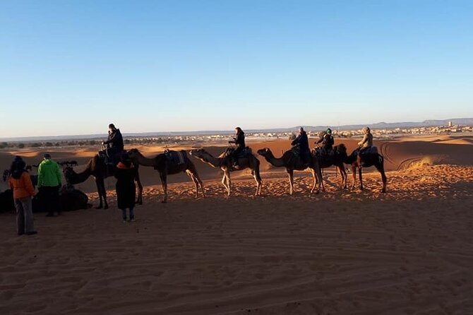 Merzouga Sahara & Erg Chebbi Luxury Bivouac - Cultural Immersion Opportunities